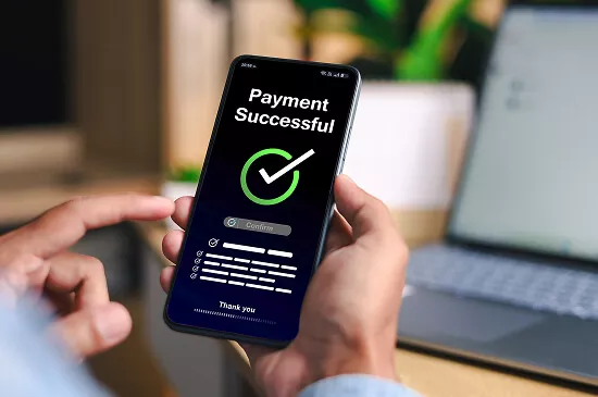 Secure online payment processing