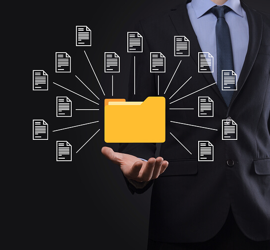 Organized digital document files