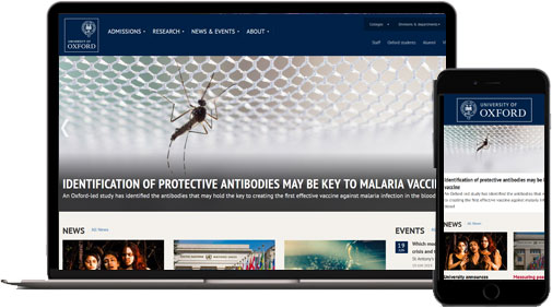 CISIN: Software Development Services