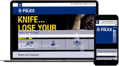 CISIN: Software Development Services