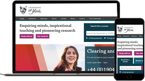 CISIN: Software Development Services