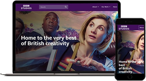 CISIN: Software Development Services