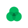 Cloverleaf