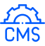 CMS Development Services
