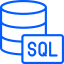 Database Consulting Company