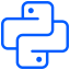 software development