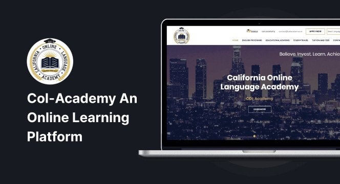 CMS Development Services