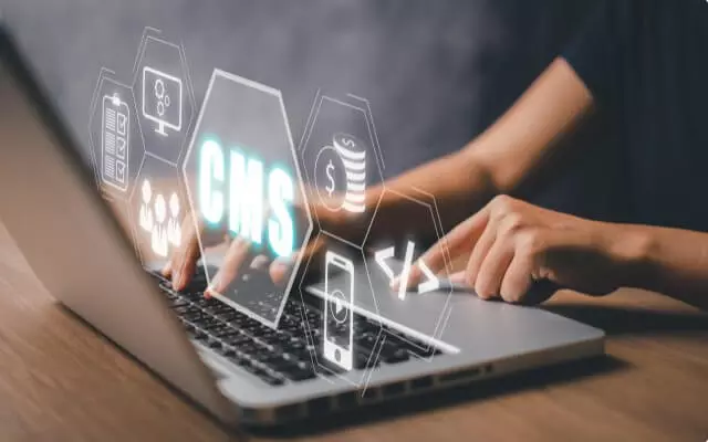 CMS Development Services