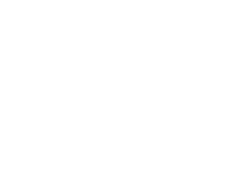 CIS: Software Development Services