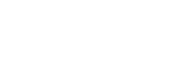 CIS: Software Development Services