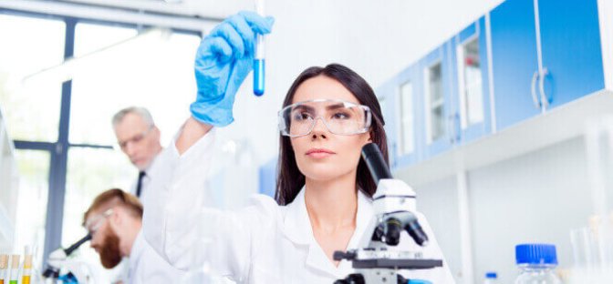 Software Development Services