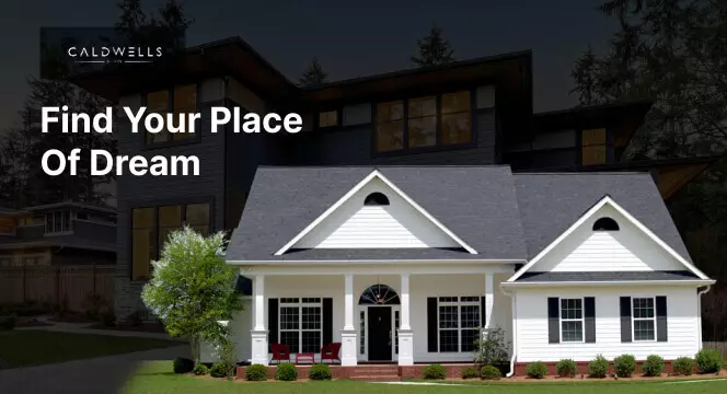 digital-product-development